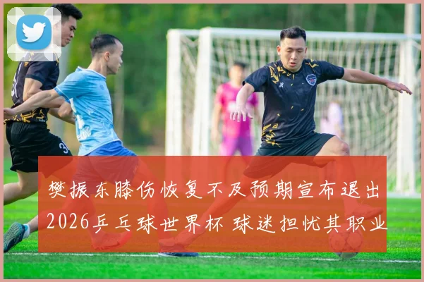 樊振东膝伤恢复不及预期宣布退出2026乒乓球世界杯 球迷担忧其职业生涯
