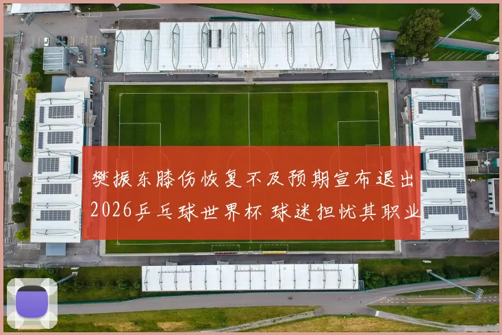 樊振东膝伤恢复不及预期宣布退出2026乒乓球世界杯 球迷担忧其职业生涯